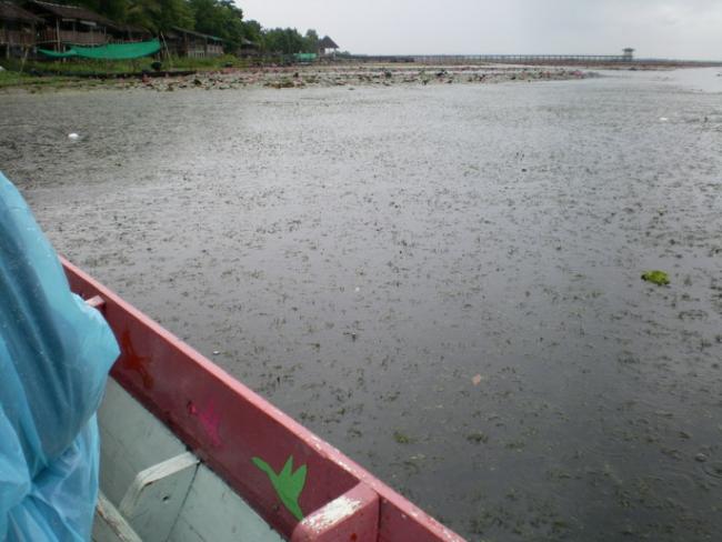 SANY7399.jpg